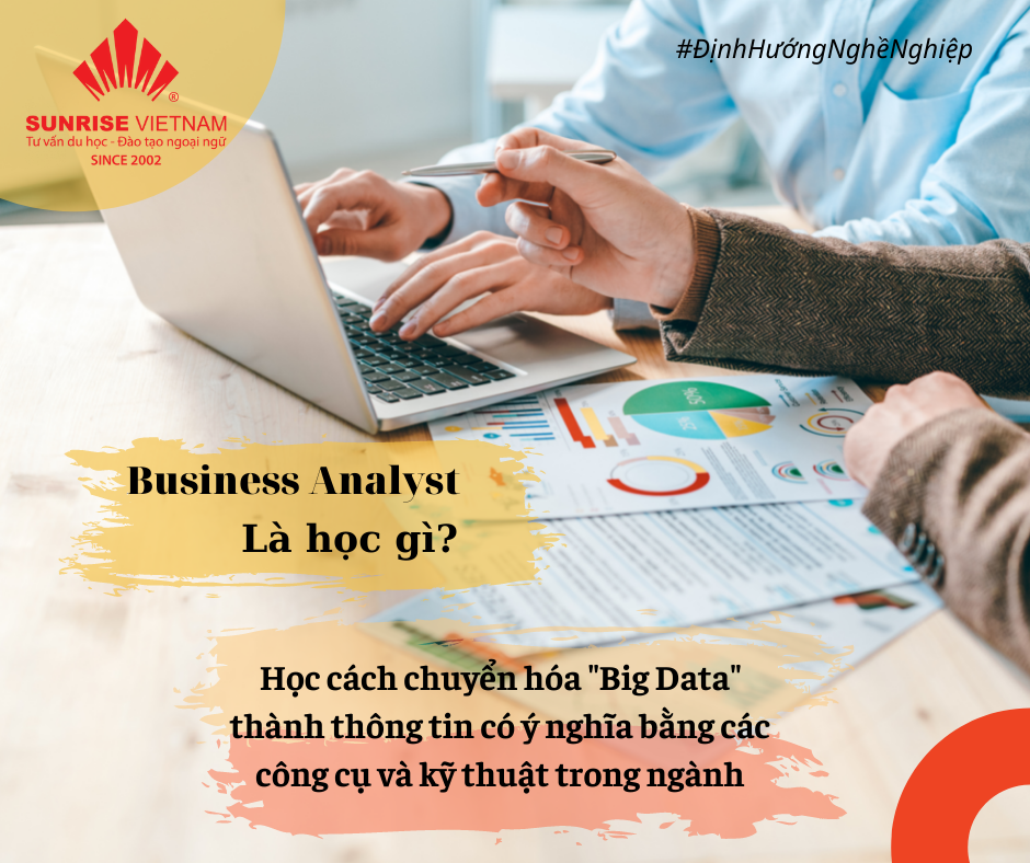 Business Analyst Nghề “Hấp Dẫn” nhất Thế Kỷ 21