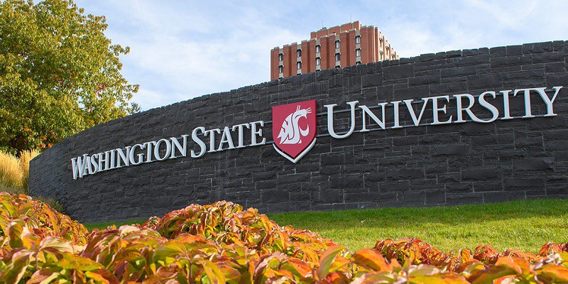 Washington State University