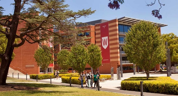 Western Sydney University nằm trong top 2% thế giới về chất lượng đào tạo